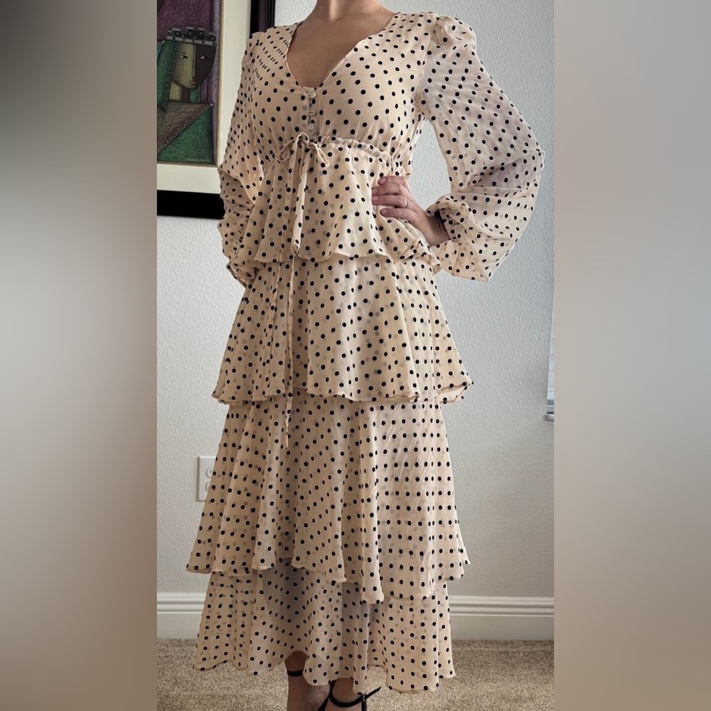 Zara Polka Dot Ruffle Dress